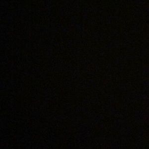 Meet your Posher, Celina